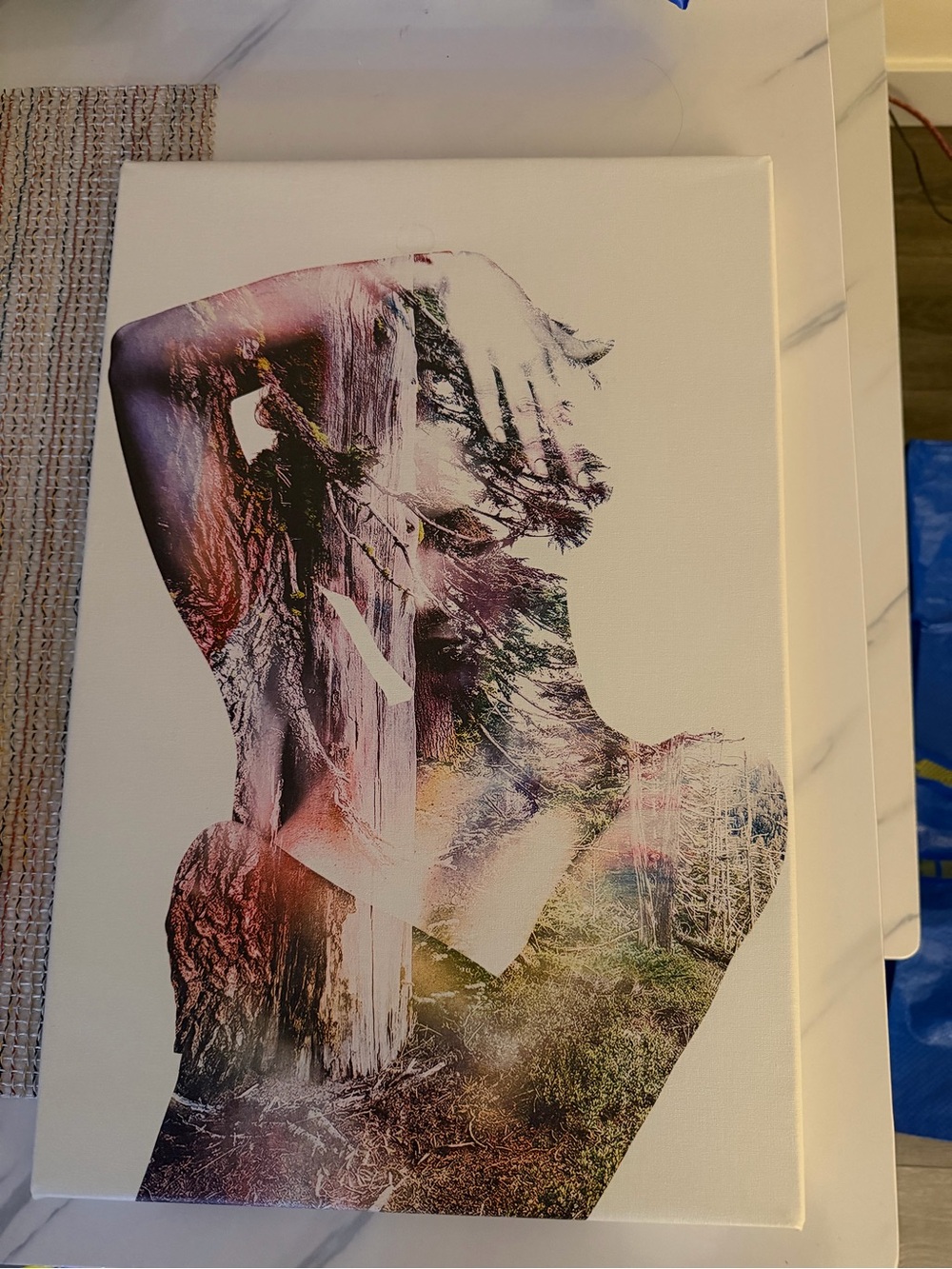 Silhouette Double-Exposure Forest Canvas Art - Multicolor